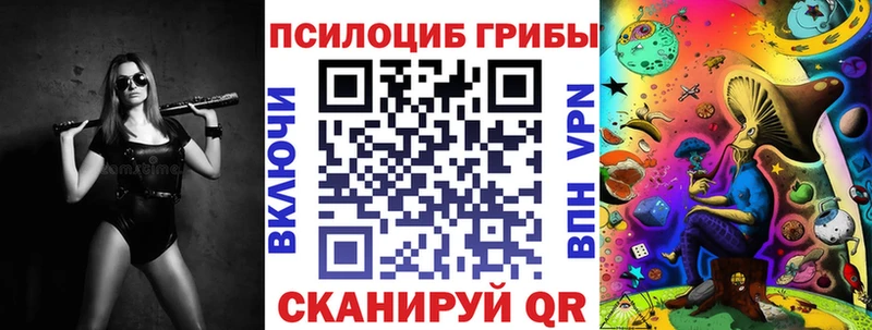 магазин    гидра как войти  Псилоцибиновые грибы Psilocybe  Свободный 